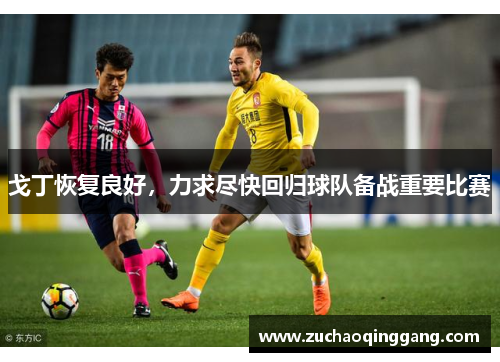戈丁恢复良好，力求尽快回归球队备战重要比赛