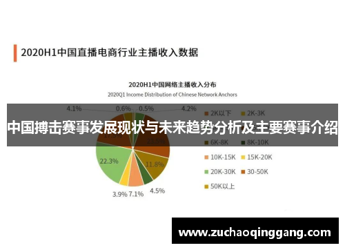 中国搏击赛事发展现状与未来趋势分析及主要赛事介绍