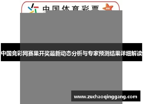 中国竞彩网赛果开奖最新动态分析与专家预测结果详细解读